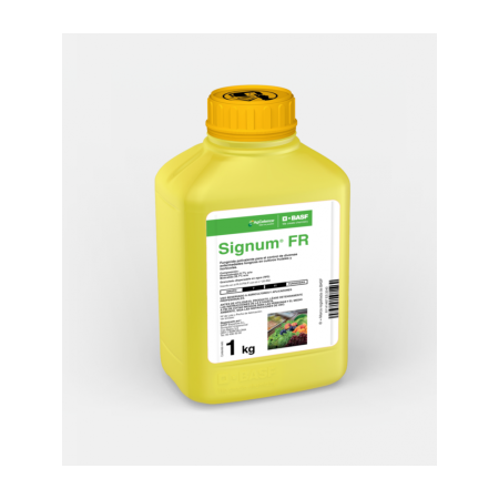 Signum 1 Kg